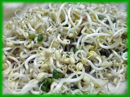 Ngộ độc: cảnh giác với 5 loại thực phẩm thường dùng - Y học - Bệnh lý - Dinh dưỡng và sức khỏe - Y học thường thức