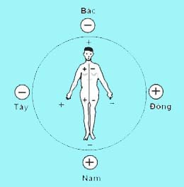 Hướng nằm ngủ tốt cho sức khỏe - Thông tin y tế - Sức khỏe gia đình