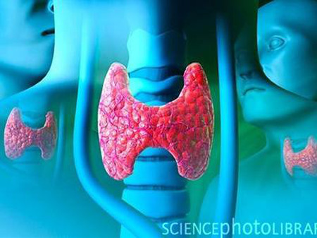 Bị tăng cân không chỉ do thừa năng lượng Bị tăng cân không chỉ do thừa năng lượng - Thông tin y tế - Dinh dưỡng và sức khỏe - Sức khỏe gia đình