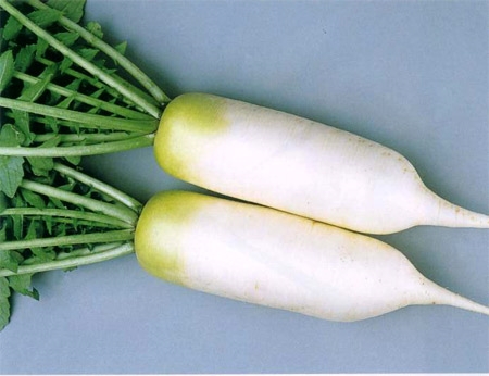 Củ cải trắng- một vị thuốc quý trong mùa đông - Chăm sóc sức khỏe - Dinh dưỡng và sức khỏe - Sức khỏe gia đình
