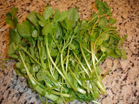 Biện pháp giúp tăng sức đề kháng của cơ thể trong mùa đông - Chăm sóc sức khỏe - Dinh dưỡng và sức khỏe - Sức khỏe gia đình