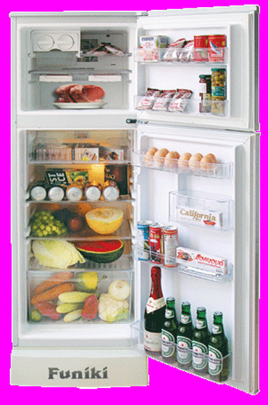 Những điều cần biết khi sử dụng tủ lạnh