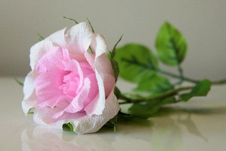 Hoa hồng giấy tuyệt đẹp giống như hoa thật một cách dễ dàng