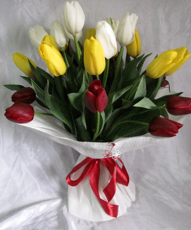 Tulip: Loài hoa mạnh mẽ 1 Tulip: Loài hoa mạnh mẽ 1