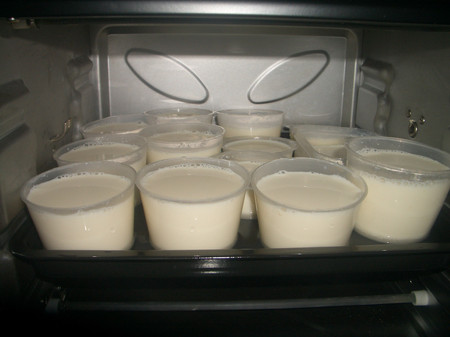 Những ly sữa chua cực đặc và ngon giúp giải nhiệt ngày hè.