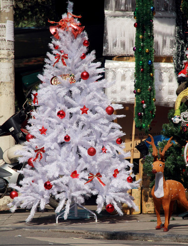 Chọn cây thông trang trí đón mừng Giáng sinh 14