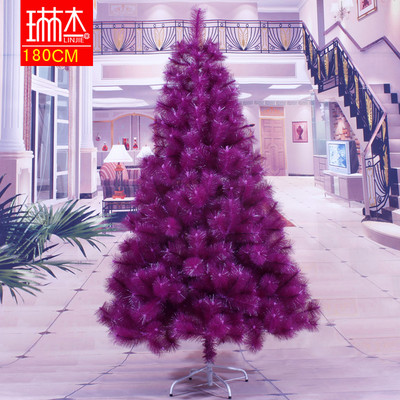 Chọn cây thông trang trí đón mừng Giáng sinh 15