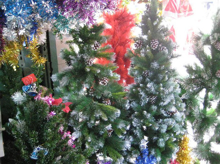 Chọn cây thông trang trí đón mừng Giáng sinh 9