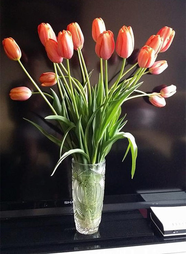 Ý nghĩa và những cách cắm đơn giản của loài hoa tuylip 8