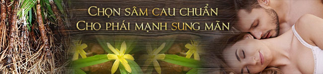 Chọn đúng sâm cau để sung mãn