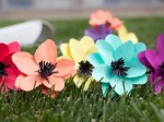 Làm hoa giấy xinh xắn đáng yêu tới bất ngờ