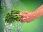 Cách rửa rau thật sạch và an toàn