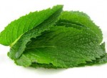 Thực phẩm thân thiện với sức khỏe răng miệng