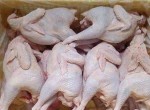 Không nên mua gà rụng lông cổ