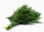 Một số bài thuốc chữa bệnh từ thì là