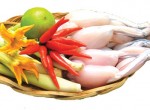 Không nên cho trẻ ăn thịt cóc?