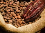 Làm đẹp với cacao