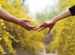 Tôi muốn ở gần chồng nhưng không muốn làm phật lòng bố mẹ