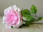 Hoa hồng giấy tuyệt đẹp giống như hoa thật một cách dễ dàng