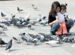 Bao dung để mong có cuộc sống bình yên trở lại