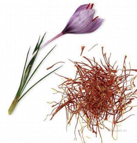 Ăn nghệ tây khi mang bầu cho con thông minh hơn 1 nghệ tây