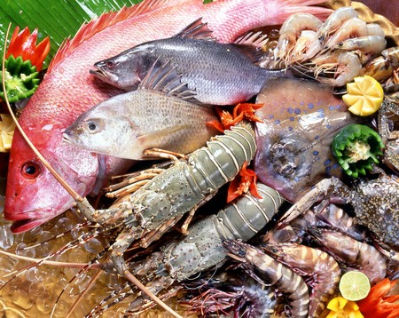 Vài món tanh cho bé 1 Vài món tanh cho bé 1