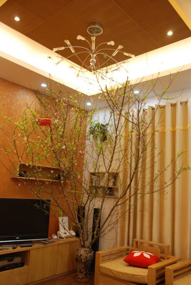 Gợi ý cho bạn cách chơi cây và hoa trong ngày Tết 1 Gợi ý cho bạn cách chơi cây và hoa trong ngày Tết 1