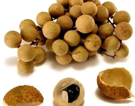 3. Táo mèo 1 3. Táo mèo 1
