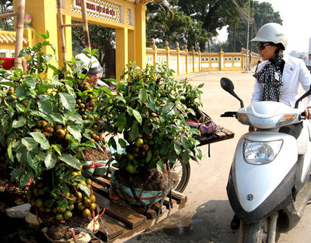 Mất tiền đi mua sự bực mình... 1 Mất tiền đi mua sự bực mình... 1
