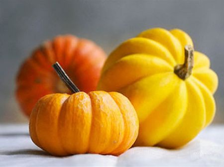 Mặt nạ từ 'thịt' bí đỏ 1 Mặt nạ từ 'thịt' bí đỏ 1