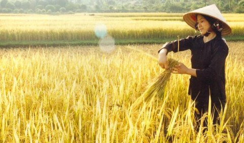 Gia đình là lẽ sống của cuộc đời tôi 1 Gia đình là lẽ sống của cuộc đời tôi 1