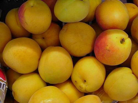 Quả mơ - sản vật có nhiều công dụng đối với sức khỏe 1 Quả mơ - sản vật có nhiều công dụng đối với sức khỏe 1