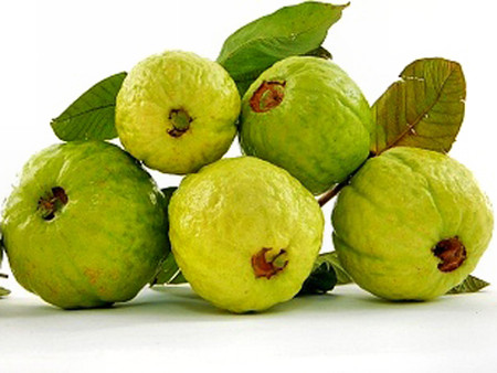 Ổi 1 Ổi 1