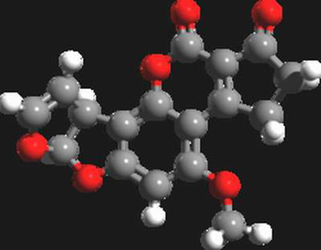 Aflatoxin chuyển hóa trong cơ thể như thế nào? 1 Aflatoxin chuyển hóa trong cơ thể như thế nào? 1