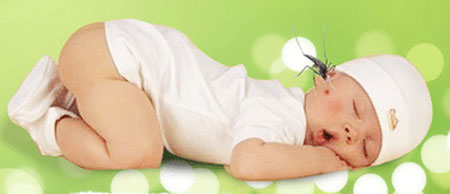 Những mẹo vặt giúp mẹ trị muỗi đốt cho bé 1 Những mẹo vặt giúp mẹ trị muỗi đốt cho bé 1