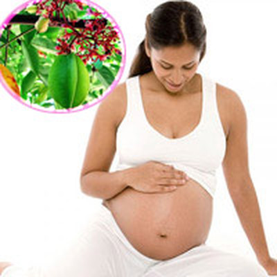 Khế chua đánh bay mề đay ở bà bầu 1 Khế chua đánh bay mề đay ở bà bầu 1