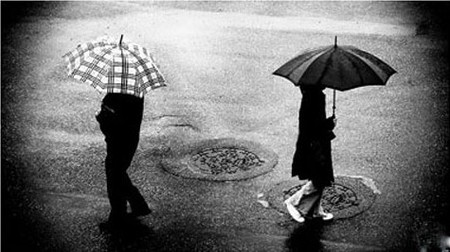 Nếu nỗi nhớ là một vật thể sống, nó sẽ là một nỗi đau biết hít thở... 1 Nếu nỗi nhớ là một vật thể sống, nó sẽ là một nỗi đau biết hít thở... 1