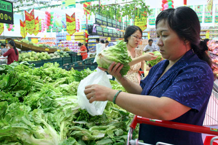Lo rau Trung Quốc độc hại, rau nội lên ngôi 1 Lo rau Trung Quốc độc hại, rau nội lên ngôi 1