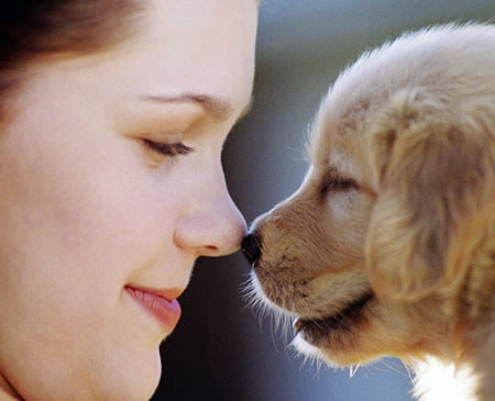 Vợ quá yêu thú vật 1 Vợ quá yêu thú vật 1