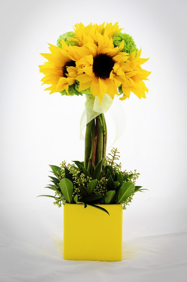 Kiểu 5: Vẻ đẹp thơ ngây 1