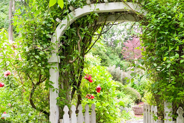 Cổng vườn bằng sắt 1 Cổng vườn bằng sắt 1