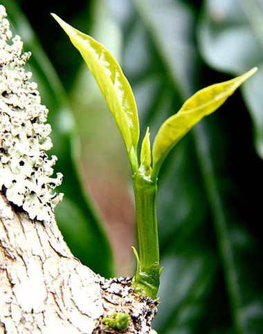 Đừng để lãng phí thời gian vào những chuyện đau khổ 1 Đừng để lãng phí thời gian vào những chuyện đau khổ 1
