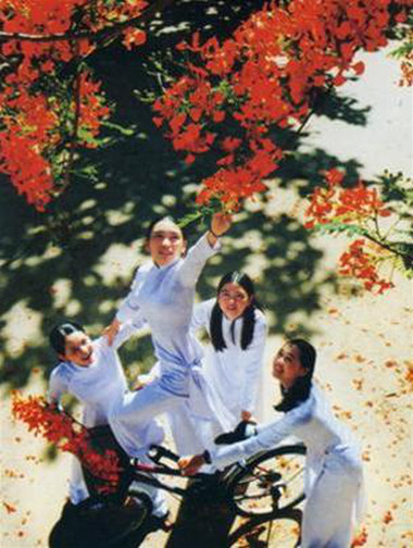 Ước gì chúng ta mãi là sinh viên 1 Quãng đời sinh viên là quãng đời đẹp nhất.