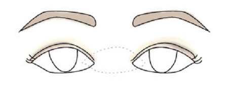 Khoảng cách giữa hai mắt gần nhau 1