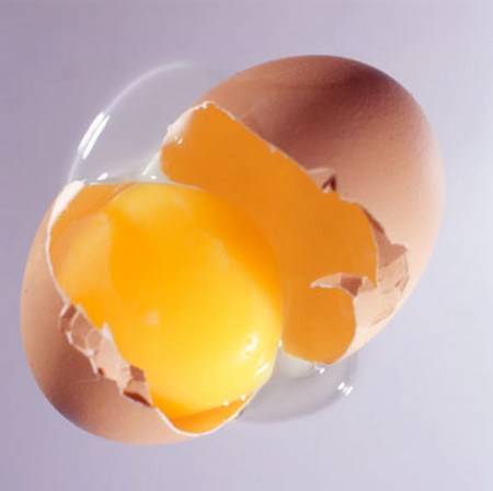 Ba ba 1 Trứng sống có thể nhiễm vi khuẩn salmonella