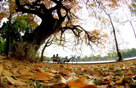 Buông tay là cách em chọn 1 Buông tay là cách em chọn 1