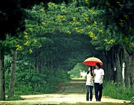 Em vẫn cứ tìm anh và hiểu anh theo lý lẽ tình yêu của riêng mình 1 Em vẫn cứ tìm anh và hiểu anh theo lý lẽ tình yêu của riêng mình 1