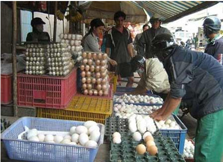 Trứng không kiểm dịch bày bán tràn lan trên thị trường 1 Trứng không kiểm dịch còn được các điểm kinh doanh xử lý, làm sạch bằng cách ngâm thuốc tẩy.