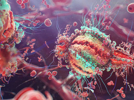 Sắp thành hiện thực: Vắc-xin phòng chống HIV 1 Virus HIV, nguyên nhân gây ra bệnh AIDS. Nguồn: HUFFINGTON POST