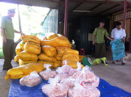 Nguyên liệu làm mực giả chưa được xác định 1 Mực khô giả bị cơ quan quản lý thị trường Quảng Trị bắt giữ.